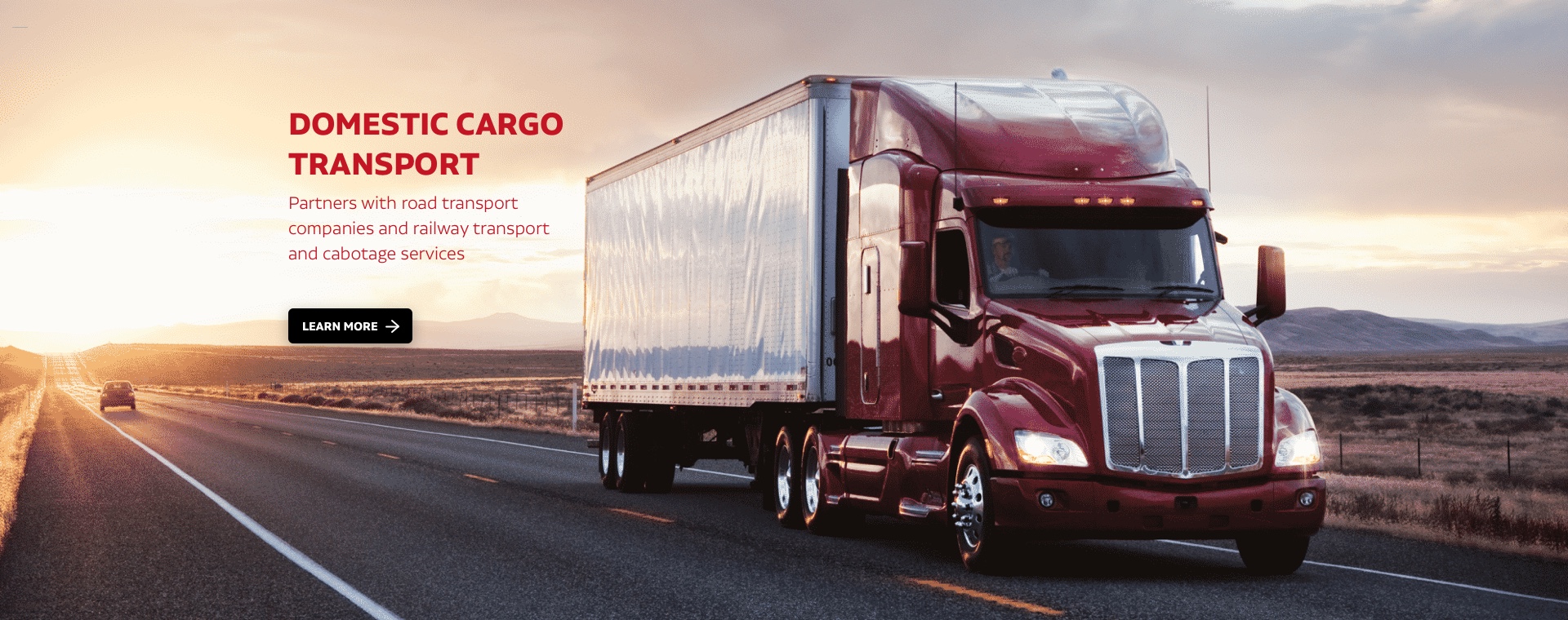 Domestic cargo transport: Partners with road transport companies and railway transport and cabotage services