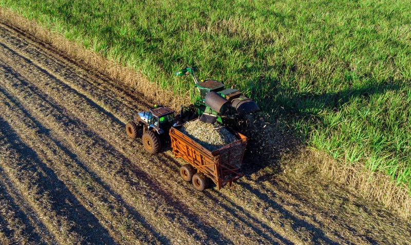 Exportações do Agronegócios brasileiro passam de 15 bilhões de dólares