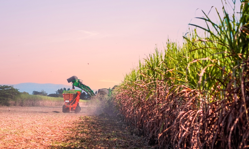 Cenário com estabilidade nas exportações do agronegócio brasileiro