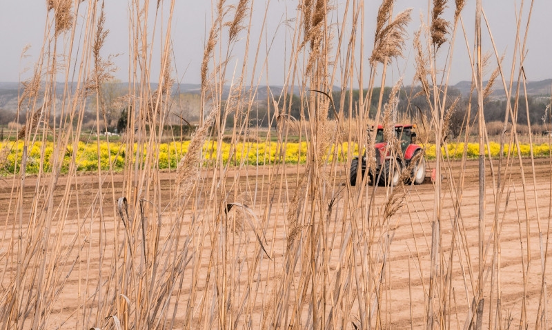 Agronegócio sustenta o saldo da balança comercial brasileira