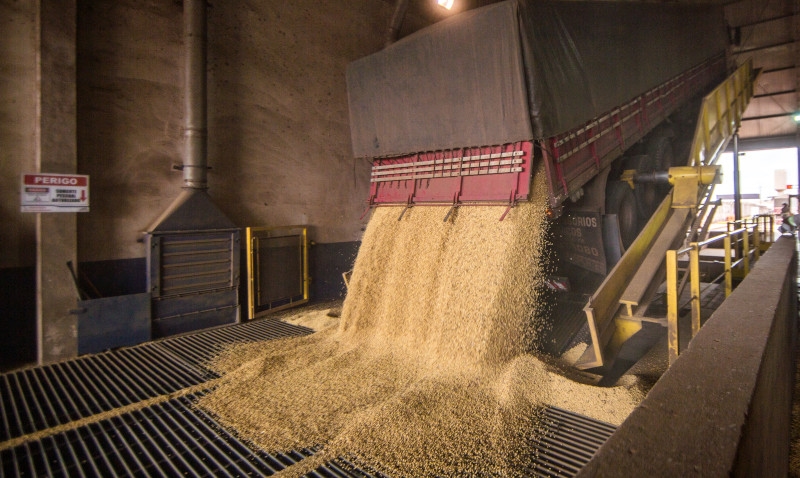 Frete rodoviário deve subir 20% em fevereiro com avanço da safra de soja