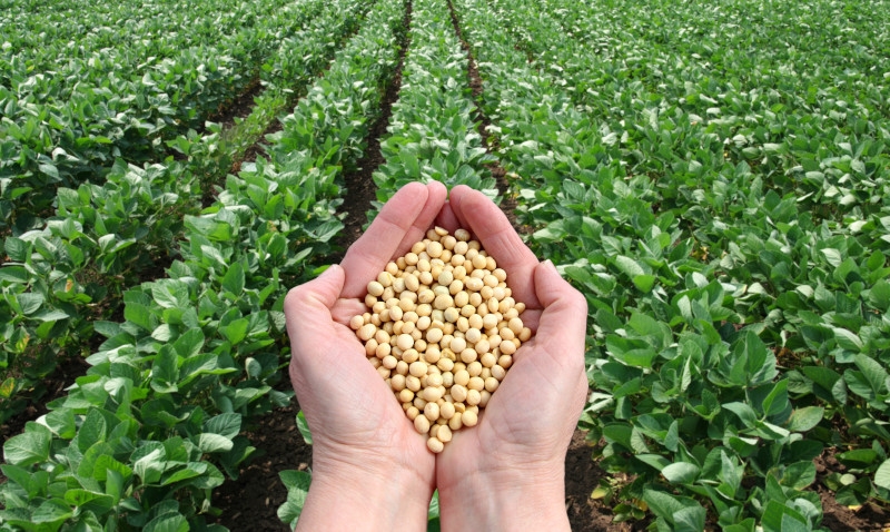 Missão oficial no Japão avança nas negociações para o agro brasileiro