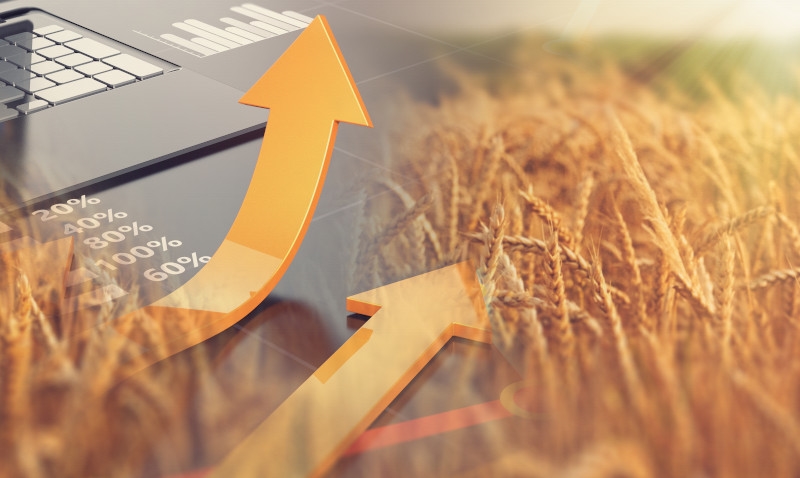 PIB brasileiro cresce com impulso da agropecuária no primeiro trimestre de 2025