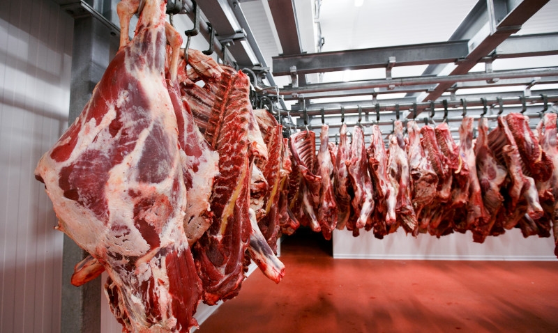 Japão realiza auditoria final e aproxima-se da liberação da carne bovina brasileira