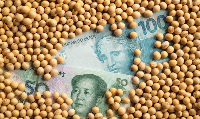 China barra 69 mil toneladas de soja brasileira após detectar trigo com pesticidas proibidos