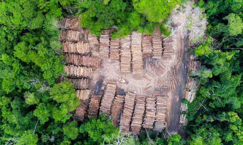 Exigências ambientais devem redefinir as exportações para União Européia