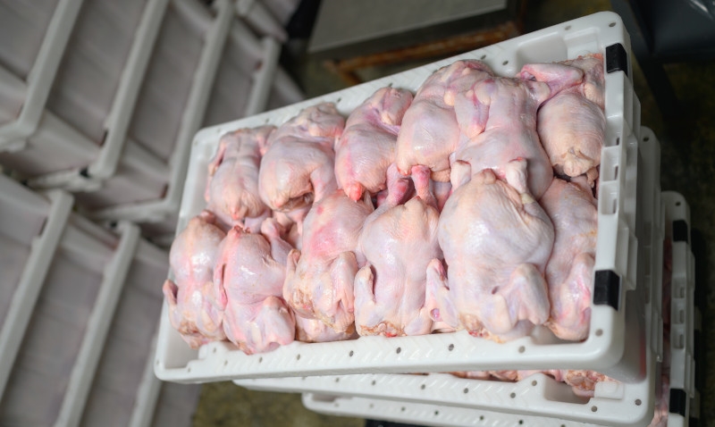 Exportadores de frango traçam novas rotas após fechamento do Estreito de Ormuz