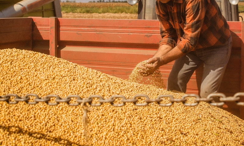 Ministério da Agricultura muda regras de inspeção de soja exportada para a China