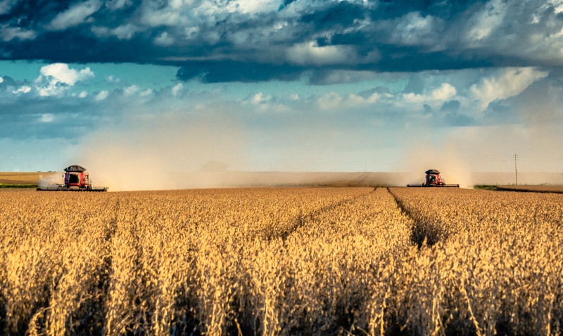 Brasil fica a 2 bilhões de dólares de superar os EUA nas exportações do agronegócio