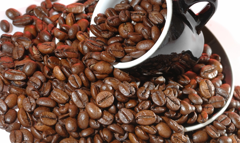 Exportações brasileiras de café apresentam crescimento em julho de 2023