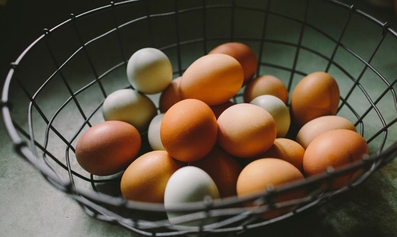 Chile reconhece sistema sanitário brasileiro para exportações de ovos