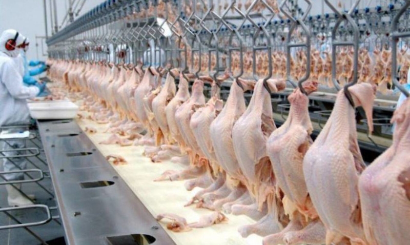 Exportações de carne de aves para União Européia foi desburocratizada