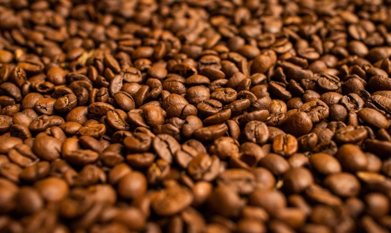 Café em grão verde foi aprovada para exportar para Zâmbia